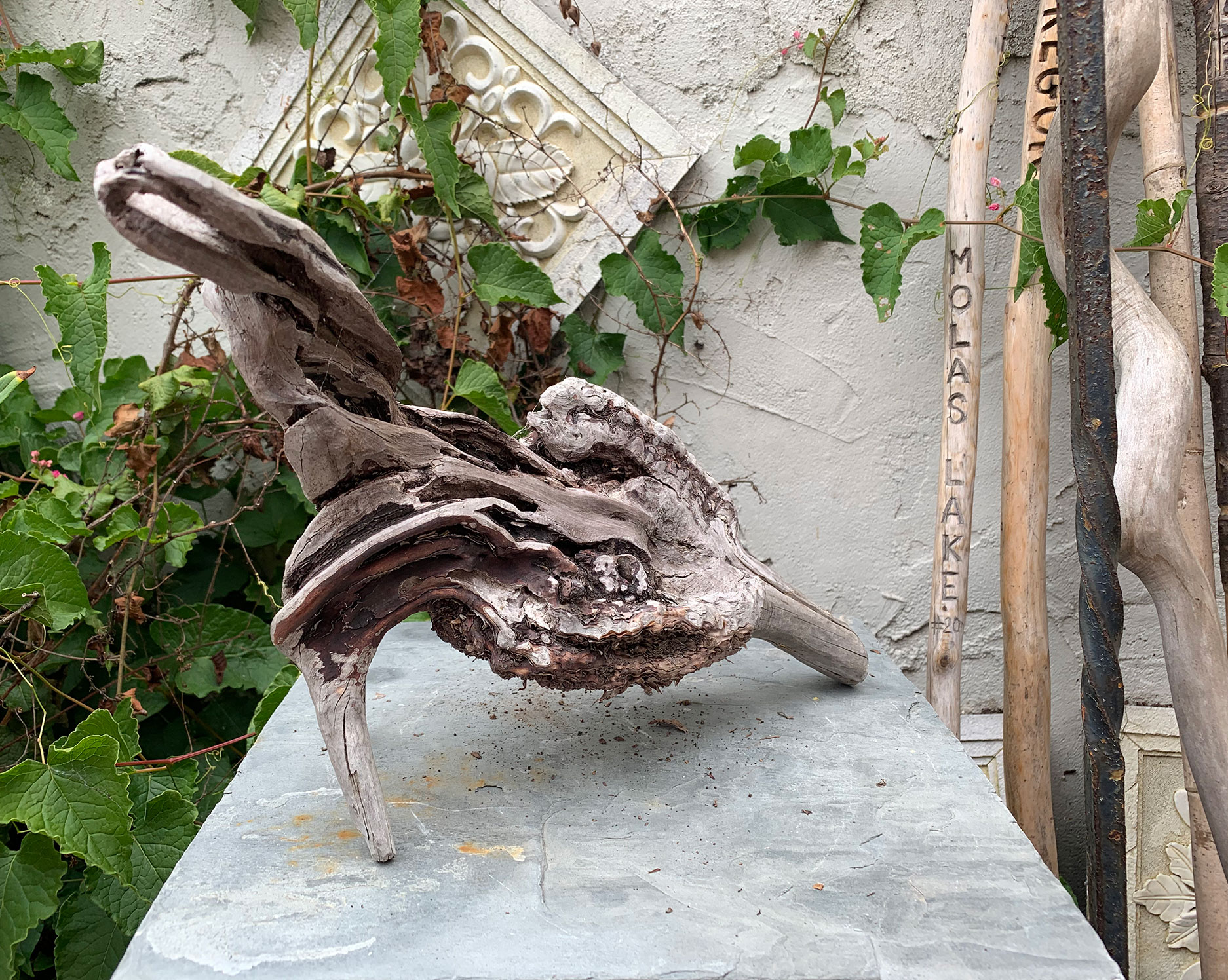 Weathered Outside