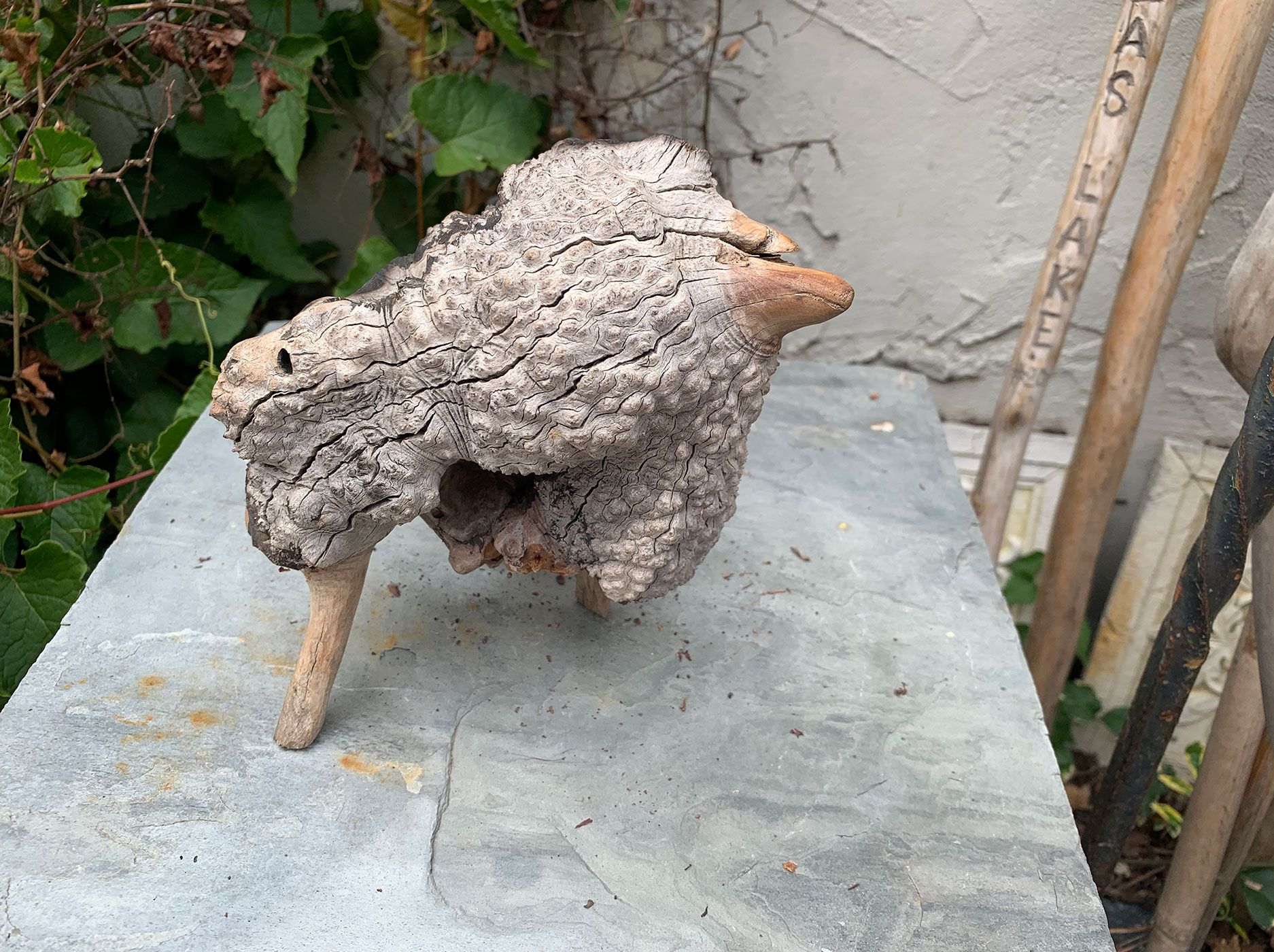 Weathered Outside